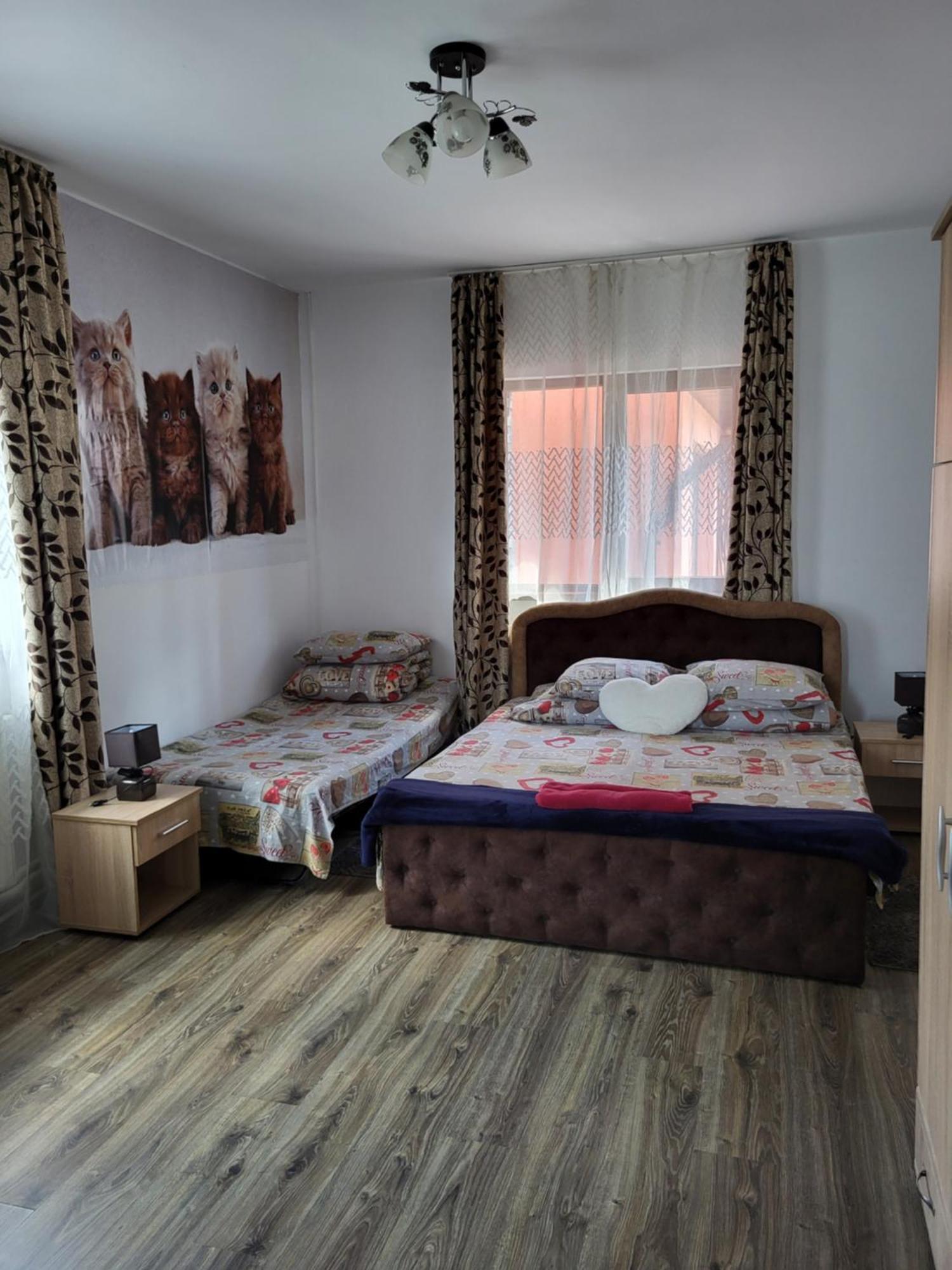 Вилла Casa Raraului Кымпулунг-Молдовенеск Экстерьер фото